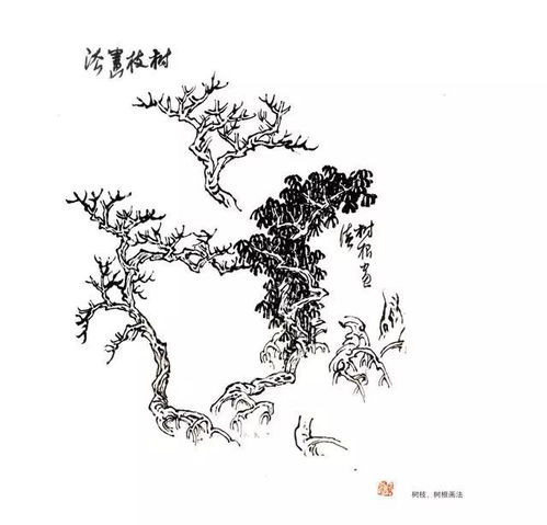 書畫 精品收藏貼 30副國畫樹木臨摹圖