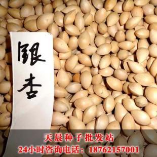 林木種子批發價格_農副產品_世界工廠網