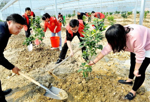 江西上饒 鄉村黨員干部田間地頭助春耕