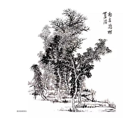 書畫 精品收藏貼 30副國畫樹木臨摹圖